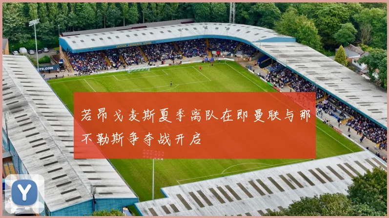 若昂戈麦斯夏季离队在即曼联与那不勒斯争夺战开启