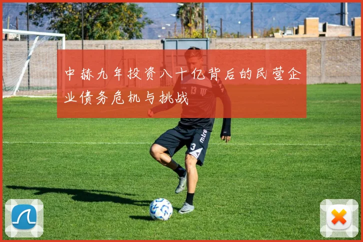 中赫九年投资八十亿背后的民营企业债务危机与挑战