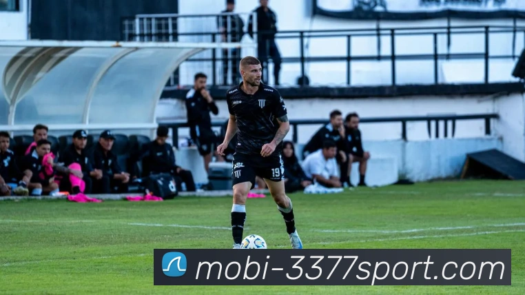 3377体育平台生态图